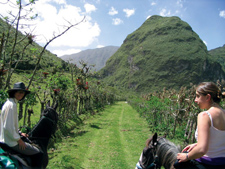 Ecuador-Highlands-Cloud Forest to Highland Ride